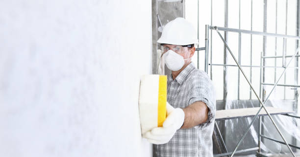 Best Mold Removal for HVAC Installations  in Dalton, GA